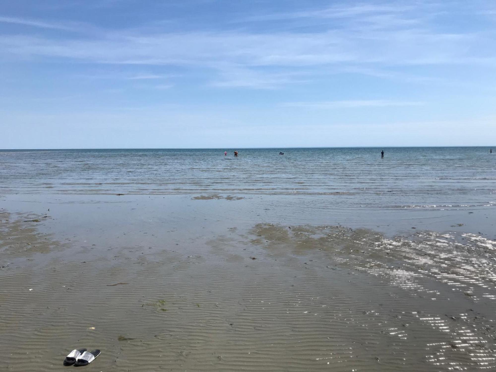 Stay At 'The Elms' In Tranquil Church Norton, Selsey - Ground Floor Bedroom, Own Private Bathroom, Quiet Beach, 2 Acre Garden By The Sea, On Edge Of Wildlife Nature Reserve Eksteriør billede